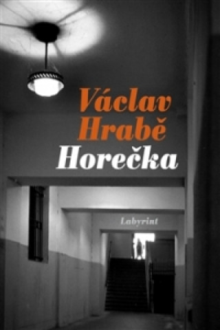 Kniha Horečka Markéta Baňková