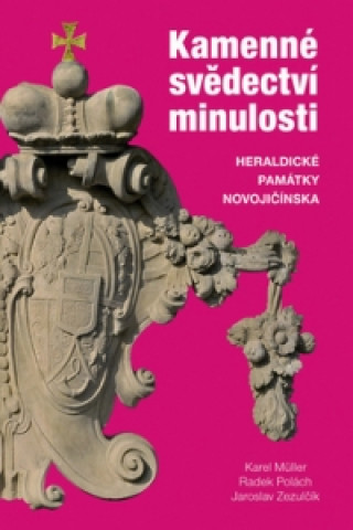 Книга Kamenné svědectví minulosti Karel Müller
