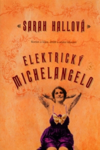 Carte Elektrický Michelangelo Sarah Hallová