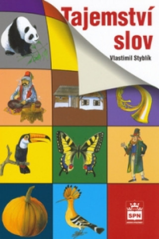 Könyv Tajemství slov Vlastimil Styblík