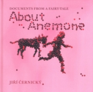 Kniha About Anemone Jiří Černický