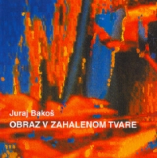 Könyv Obraz v zahalenom tvare Juraj Bakoš