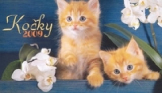 Könyv Kočky 2009 - stolní kalendář 