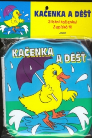 Könyv Kačenka a déšť Alena Pospíšilová