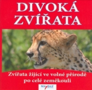Book Divoká zvířata Murin Filip