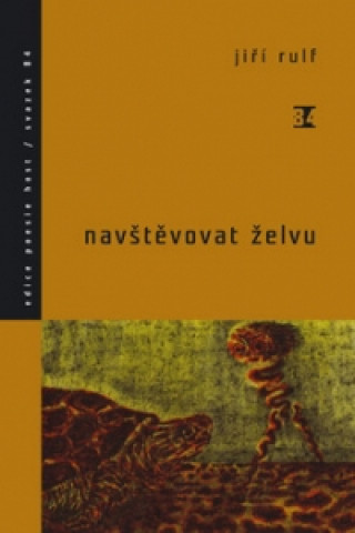 Könyv Navštěvovat želvu Jiří Rulf