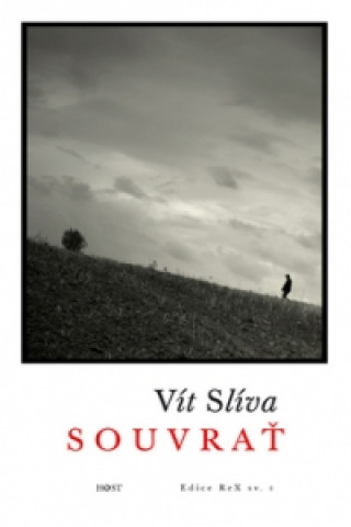 Book Souvrať Vít Síva