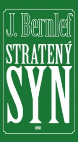 Carte Stratený syn J. Bernlef