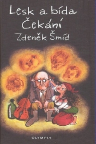 Könyv Lesk a bída Čekání Zdeněk Šmíd