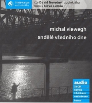Audio Andělé všedního dne Michal Viewegh