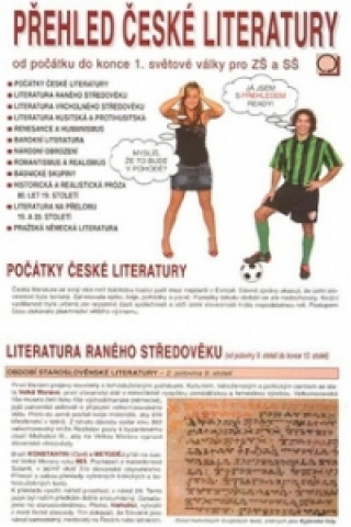 Knjiga Přehled české literatury Dagmar Bradáčová