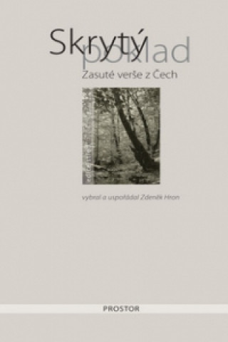 Book Skrytý poklad Zdeněk Hron