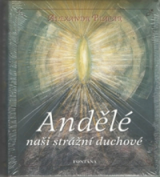 Book Andělé naši strážní duchové Alexandr Placar