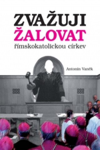 Book Zvažuji žalovat římskokatolickou církev Antonín Vaněk