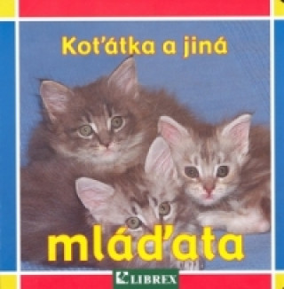 Kniha Koťátka a jiná mláďata Wolfgang Schleicher