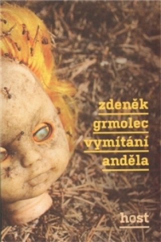 Book Vymítání anděla Zdeněk Grmolec