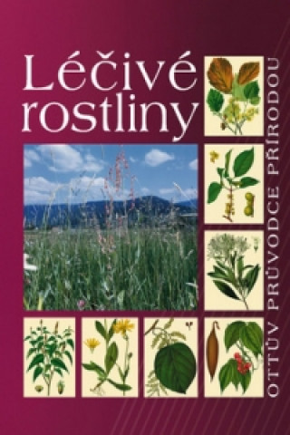 Kniha Léčivé rostliny 