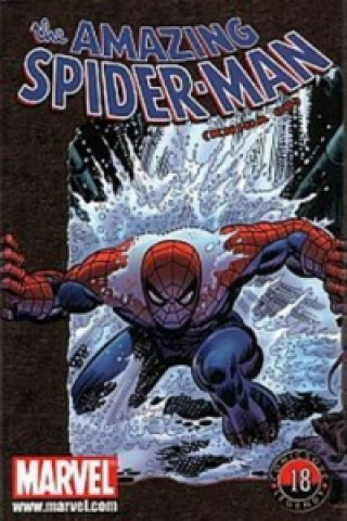 Kniha Amazing Spider-Man Stan Lee