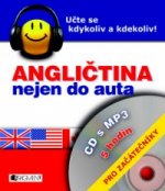 Kniha Angličtina nejen do auta  + mp3 Pro začátečníky Iva Dostálová