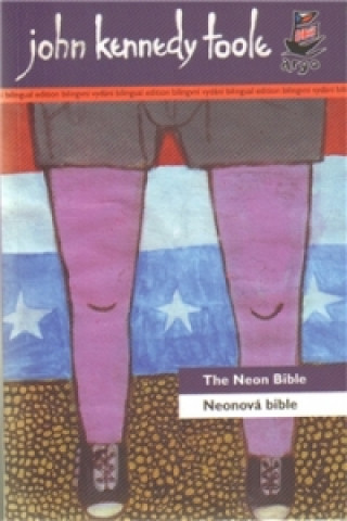 Książka Neonová bible/ The Neon Bible John Kennedy Toole
