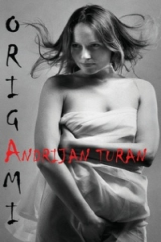 Book Origami Andrijan Turan