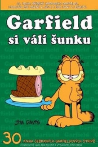 Knjiga Garfield si válí šunku Jim Davis