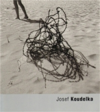 Könyv Josef Koudelka Josef Koudelka