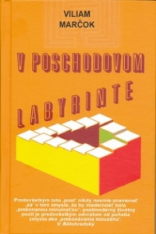 Könyv V poschodovom labyrinte Viliam Marčok
