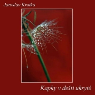 Kniha Kapky v dešti ukryté Jaroslav Kratka