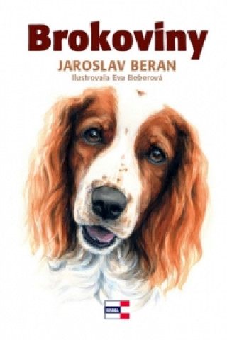 Kniha Brokoviny Jaroslav Beran