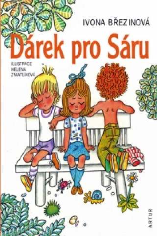 Kniha Dárek pro Sáru Ivona Březinová