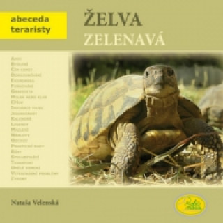 Książka Želva zelenavá Nataša Velenská