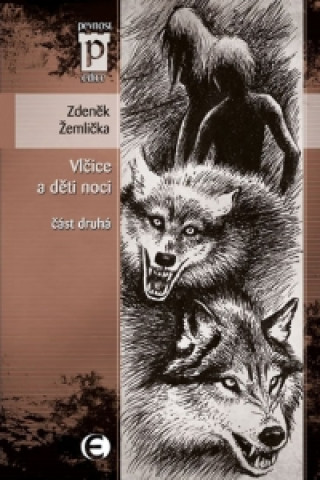 Book Vlčice a děti noci Zdeněk Žemlička
