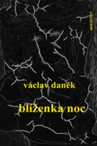 Book Blíženka noc Václav Daněk