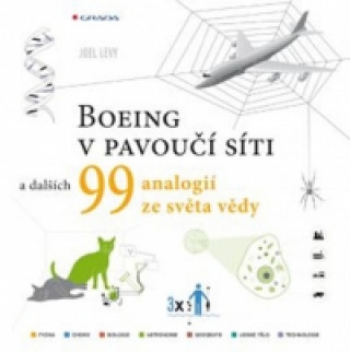 Kniha Boeing v pavoučí síti Levy Joel