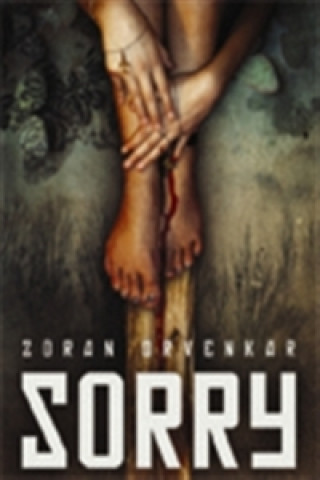 Книга Sorry Zoran Drvenkar