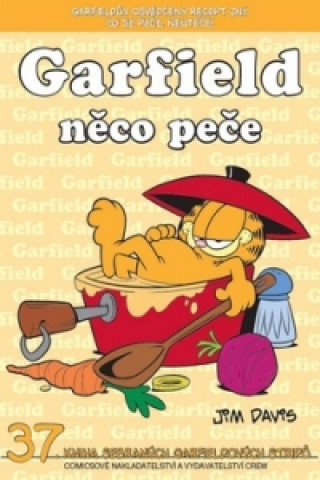Książka Garfield něco peče Jim Davis