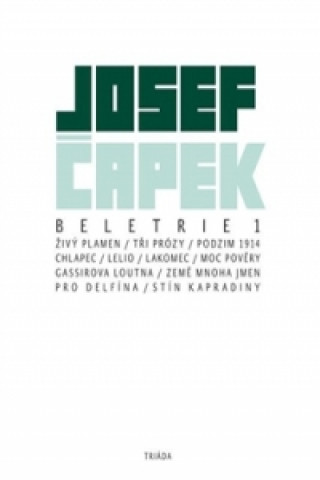 Book Beletrie 1 Josef Čapek; Daniel Vojtěch