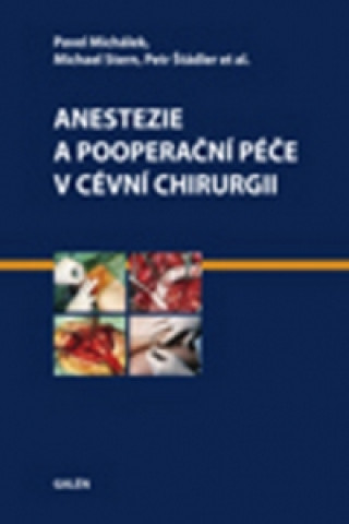 Book Anestezie a pooperační péče v cévní chirurgii Pavel Michálek