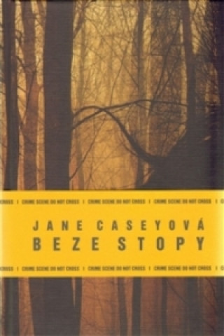 Книга Beze stopy Jane Caseyová