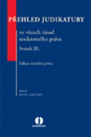 Könyv Přehled judikatury ve věcech zásad soukromého práva Petr Lavický