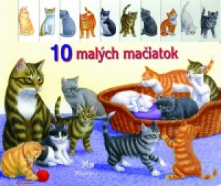 Knjiga 10 malých mačiatok collegium