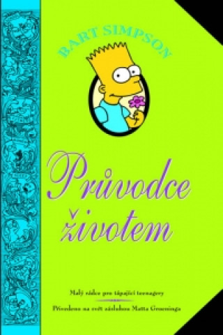 Book Bart Simpson Průvodce životem Matt Groening