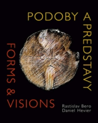 Könyv Podoby a predstavy Forms & Visions Rastislav Bero