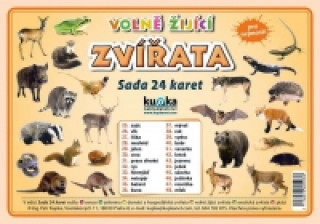 Printed items Sada 24 karet Zvířata volně žijící Petr Kupka
