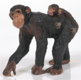 Játék Šimpanz samice a mládě 