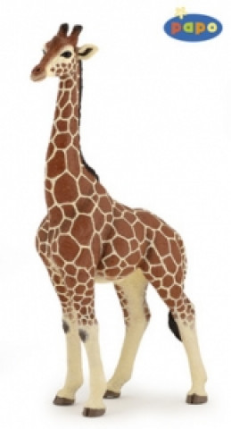 Hra/Hračka Žirafa samec 