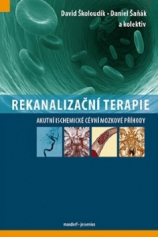 Книга Rekanalizační terapie Školoudík