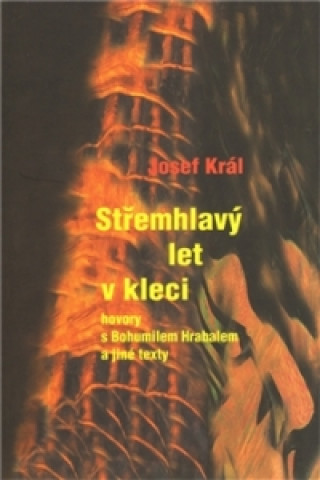 Könyv Střemhlavý let v kleci Josef Král