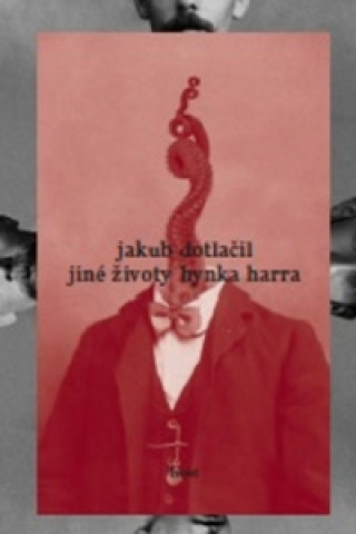 Buch Jiné životy Hynka Harra Jakub Dotlačil